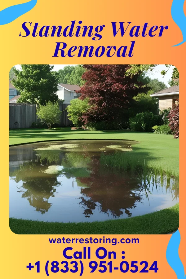 Standing Water Removal in Orangeville, PA